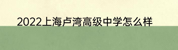 2022上海卢湾高级中学怎么样