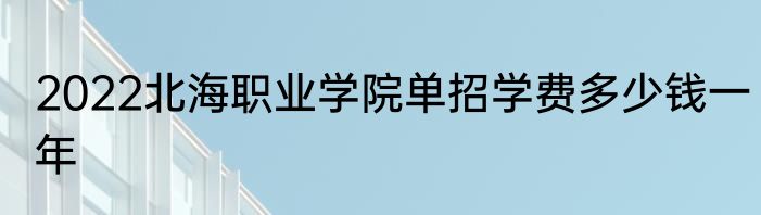 2022北海职业学院单招学费多少钱一年