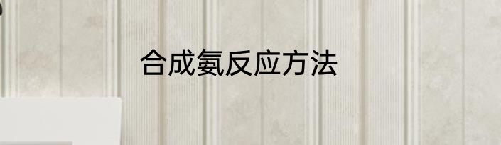 合成氨反应方法