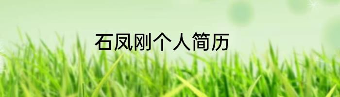 石凤刚个人简历