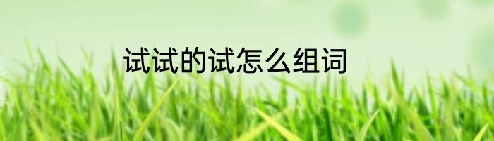 试试的试怎么组词