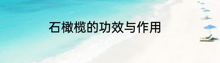 石橄榄的功效与作用