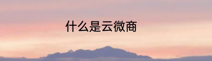 什么是云微商