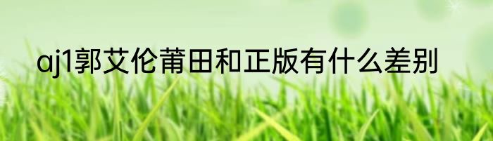 aj1郭艾伦莆田和正版有什么差别