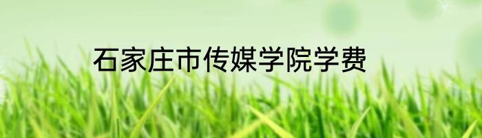 石家庄市传媒学院学费