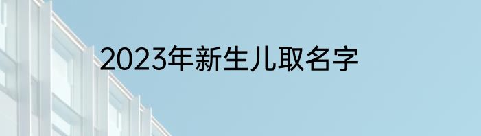 2023年新生儿取名字