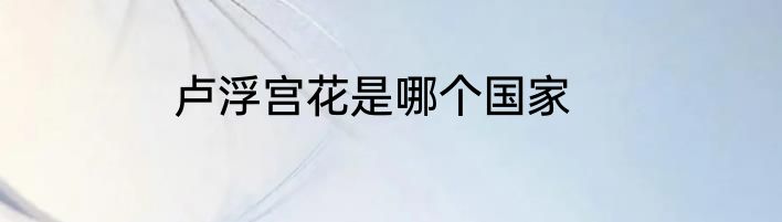 卢浮宫花是哪个国家