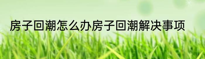 房子回潮怎么办房子回潮解决事项