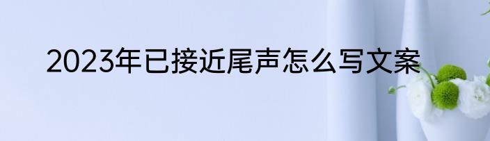 2023年已接近尾声怎么写文案
