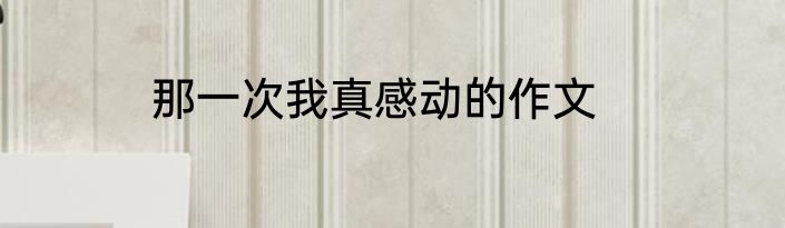 那一次我真感动的作文