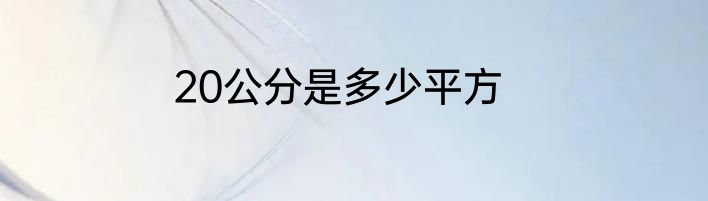 20公分是多少平方