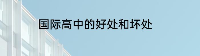 国际高中的好处和坏处