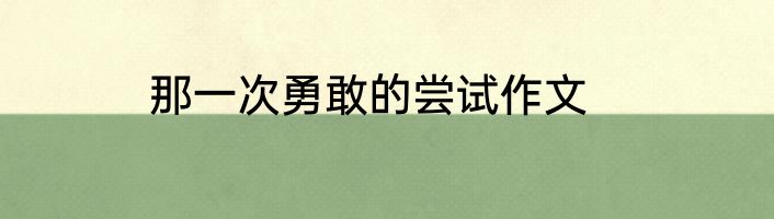 那一次勇敢的尝试作文