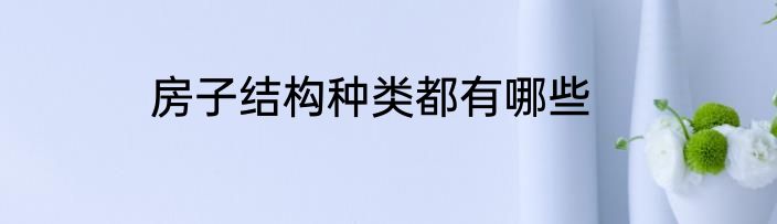 房子结构种类都有哪些