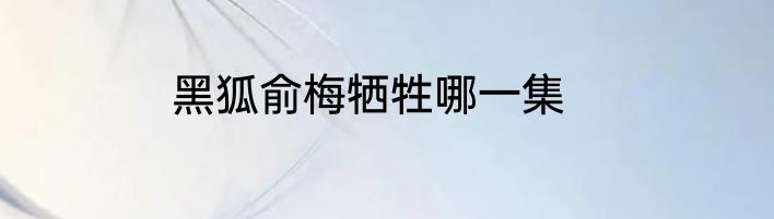 黑狐俞梅牺牲哪一集