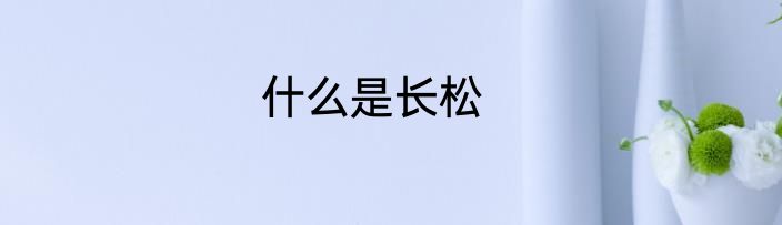 什么是长松