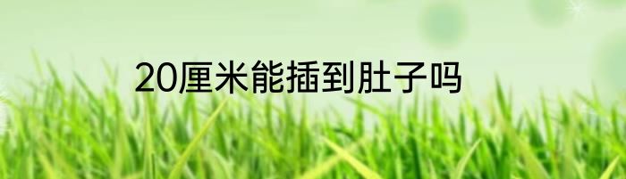 20厘米能插到肚子吗