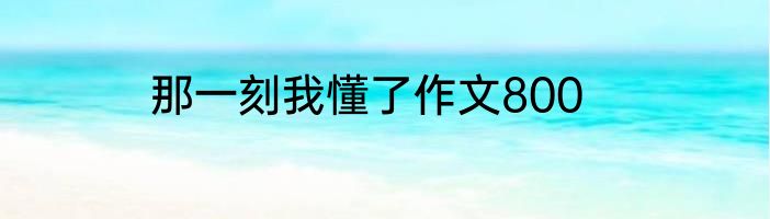 那一刻我懂了作文800