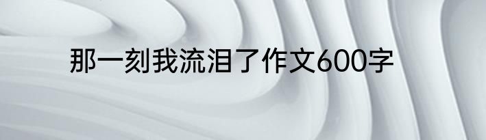 那一刻我流泪了作文600字