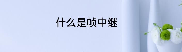 什么是帧中继