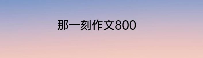 那一刻作文800