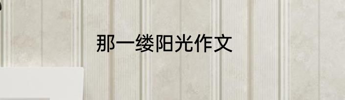 那一缕阳光作文