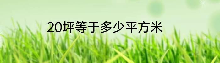 20坪等于多少平方米