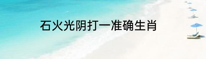 石火光阴打一准确生肖