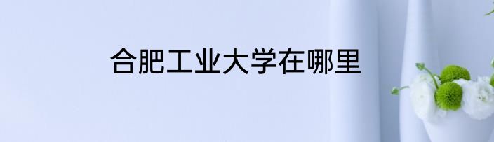 合肥工业大学在哪里