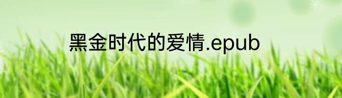 黑金时代的爱情.epub
