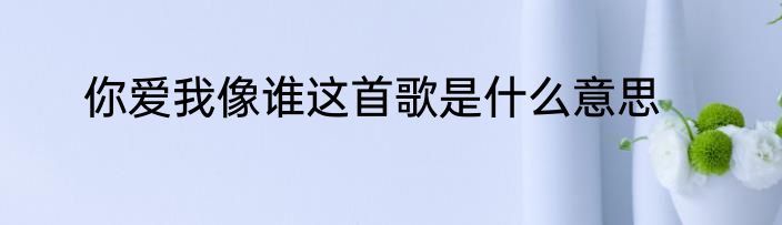 你爱我像谁这首歌是什么意思