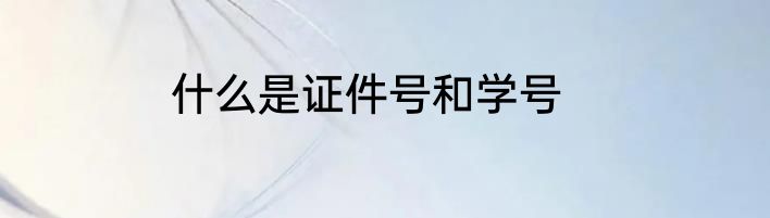 什么是证件号和学号