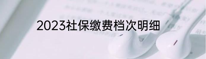 2023社保缴费档次明细