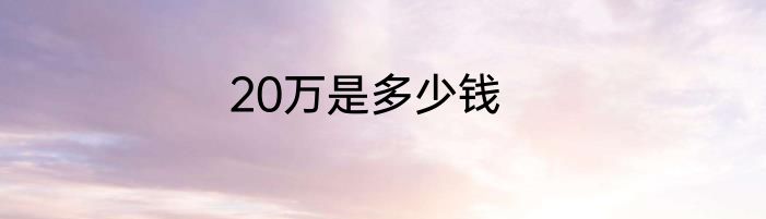 20万是多少钱