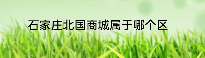 石家庄北国商城属于哪个区