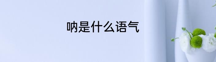 呐是什么语气