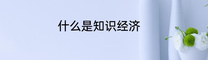 什么是知识经济