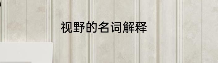 视野的名词解释