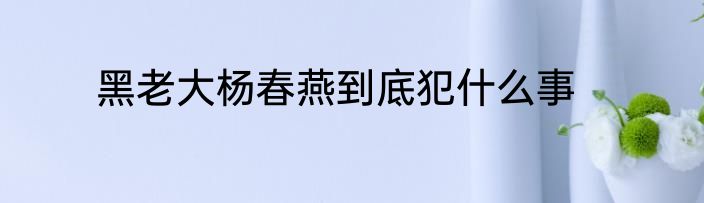 黑老大杨春燕到底犯什么事