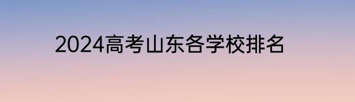 2024高考山东各学校排名