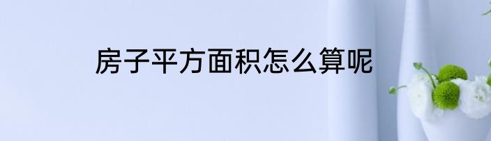 房子平方面积怎么算呢