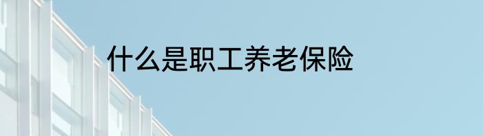 什么是职工养老保险