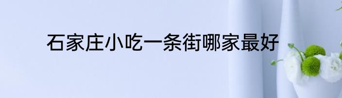 石家庄小吃一条街哪家最好