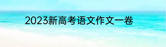 2023新高考语文作文一卷