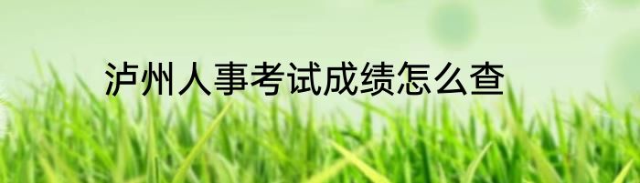 泸州人事考试成绩怎么查