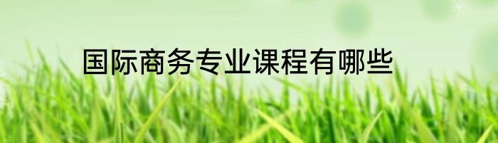国际商务专业课程有哪些