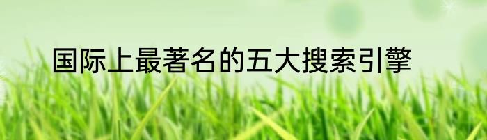 国际上最著名的五大搜索引擎