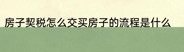 房子契税怎么交买房子的流程是什么