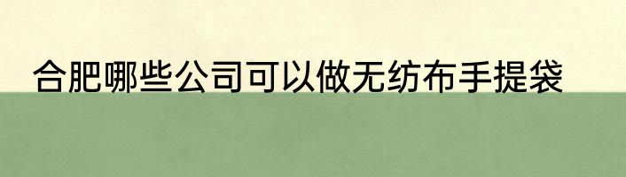 合肥哪些公司可以做无纺布手提袋