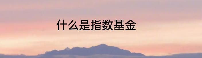 什么是指数基金